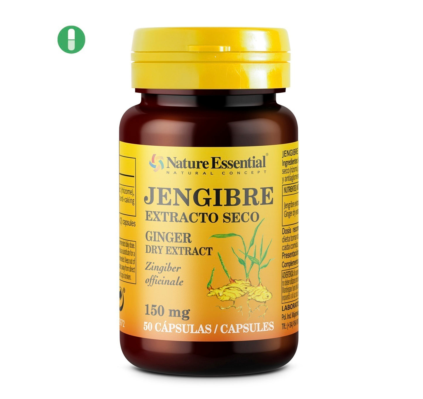 NATURE ESSENTIAL- Jengibre 150 mg. (extracto seco) 50 cápsulas